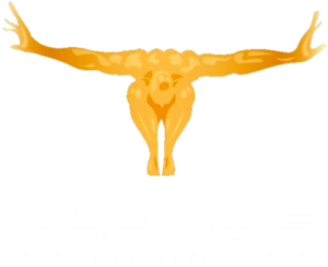 plenus logo